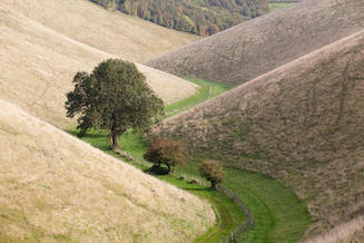 Horsedale (Alamy KC6H2W) 327x218